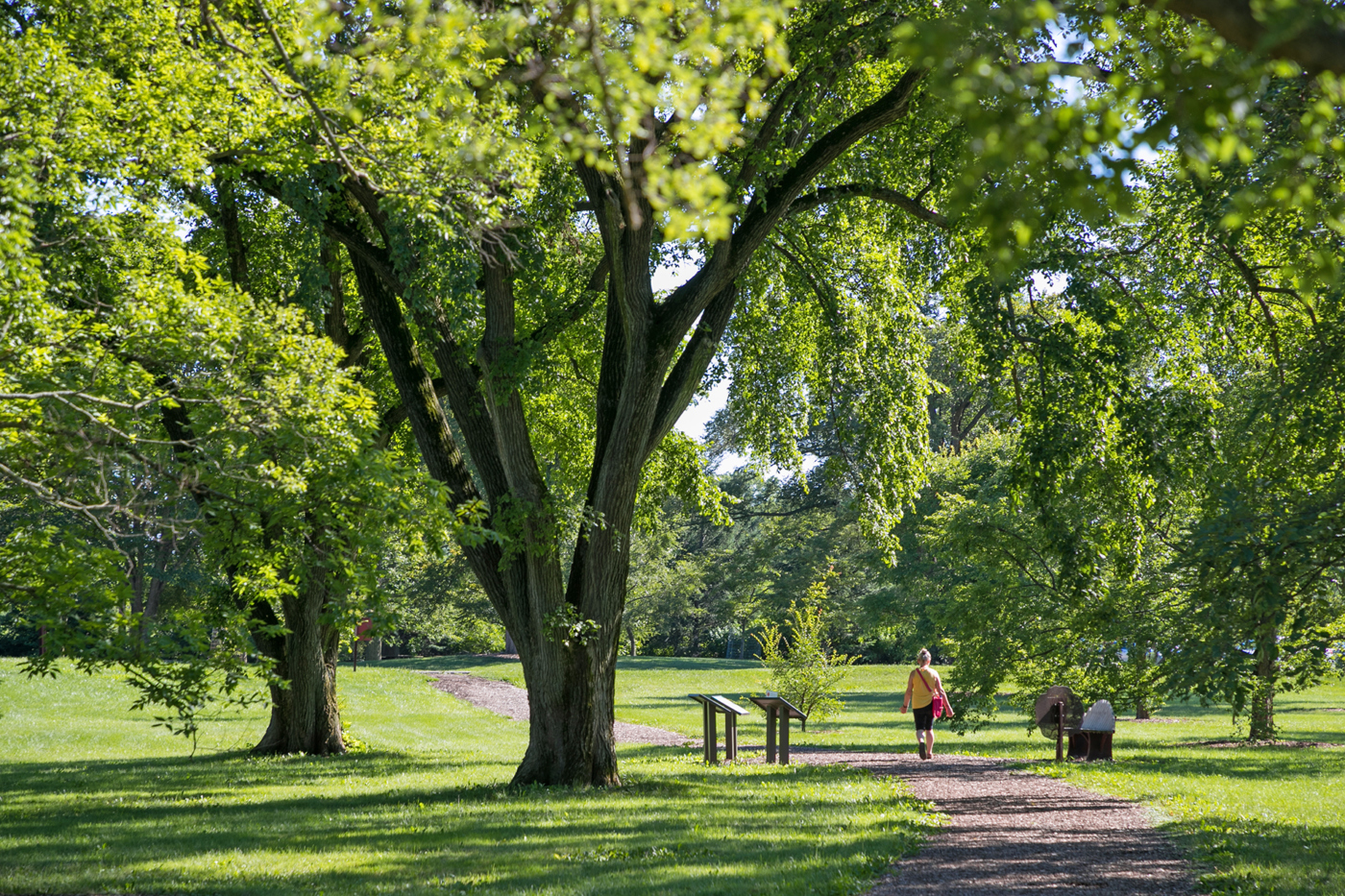 The Morton Arboretum