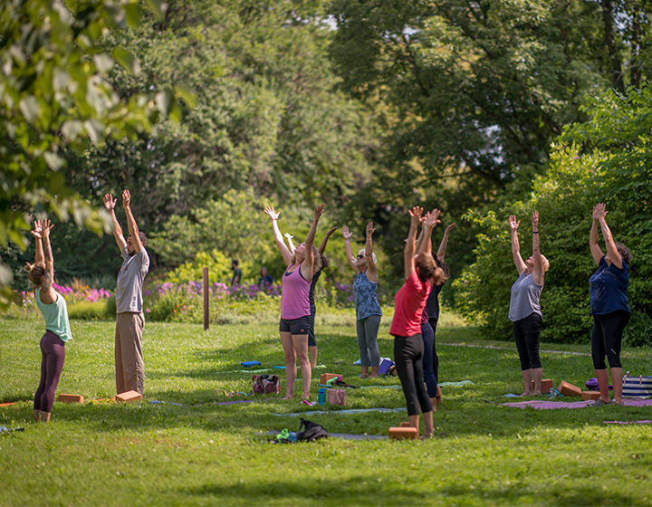Yoga class outside near Thornhill